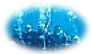 sorties icon