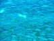 ../photos/2009_Martinique/t_photo_20091029_211534_P1040001.JPG