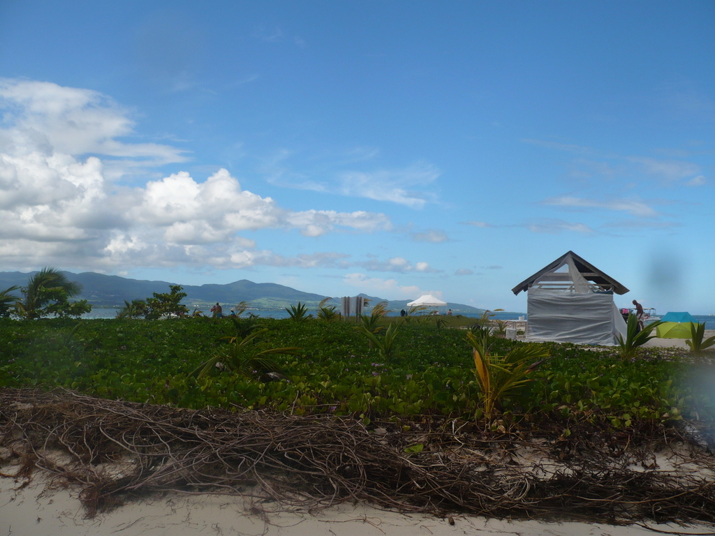 ../photos/2016_Guadeloupe/photo_20161027_100904_088.JPG