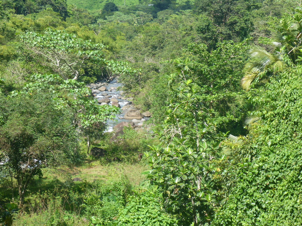 ../photos/2016_Guadeloupe/photo_20161028_083644_P1020018.JPG