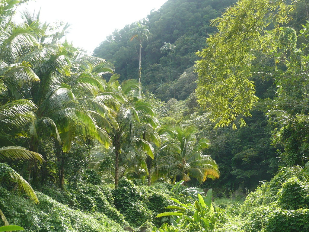 ../photos/2016_Guadeloupe/photo_20161028_145955_129.JPG