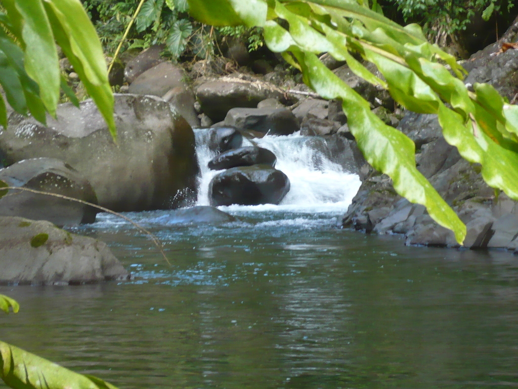 ../photos/2016_Guadeloupe/photo_20161028_155442_133_Cascade.JPG