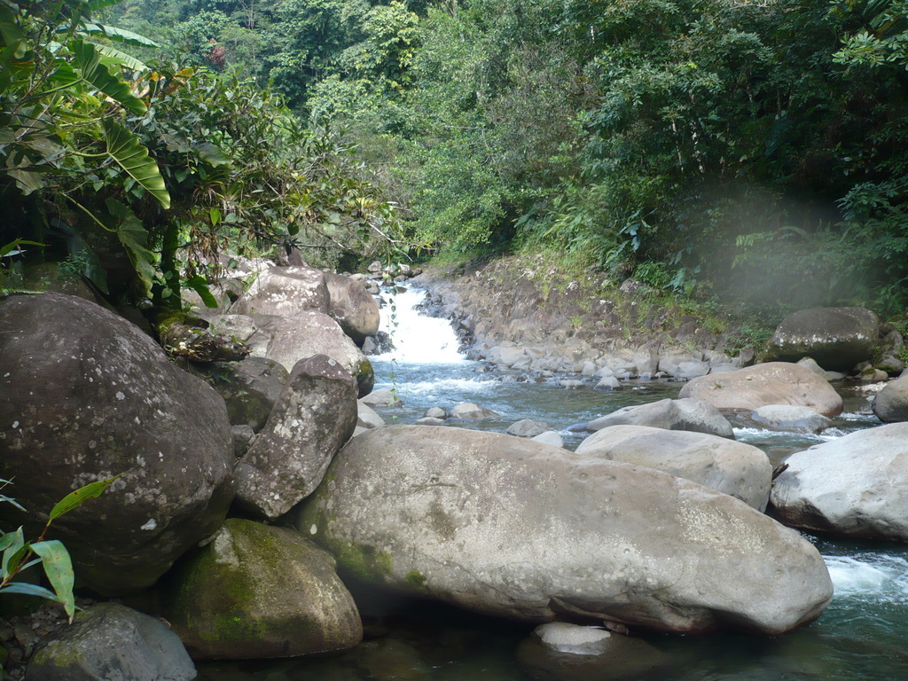 ../photos/2016_Guadeloupe/photo_20161028_160809_137_Cascade.JPG