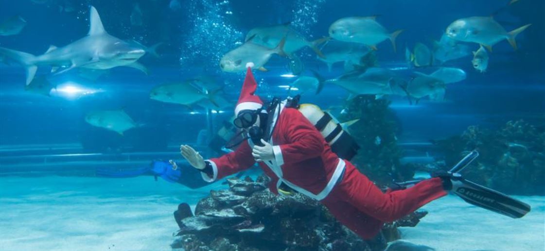 Un p&egrave;re No&euml;l teste le principe d'Archim&egrave;de