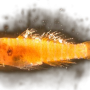 goby_600.png