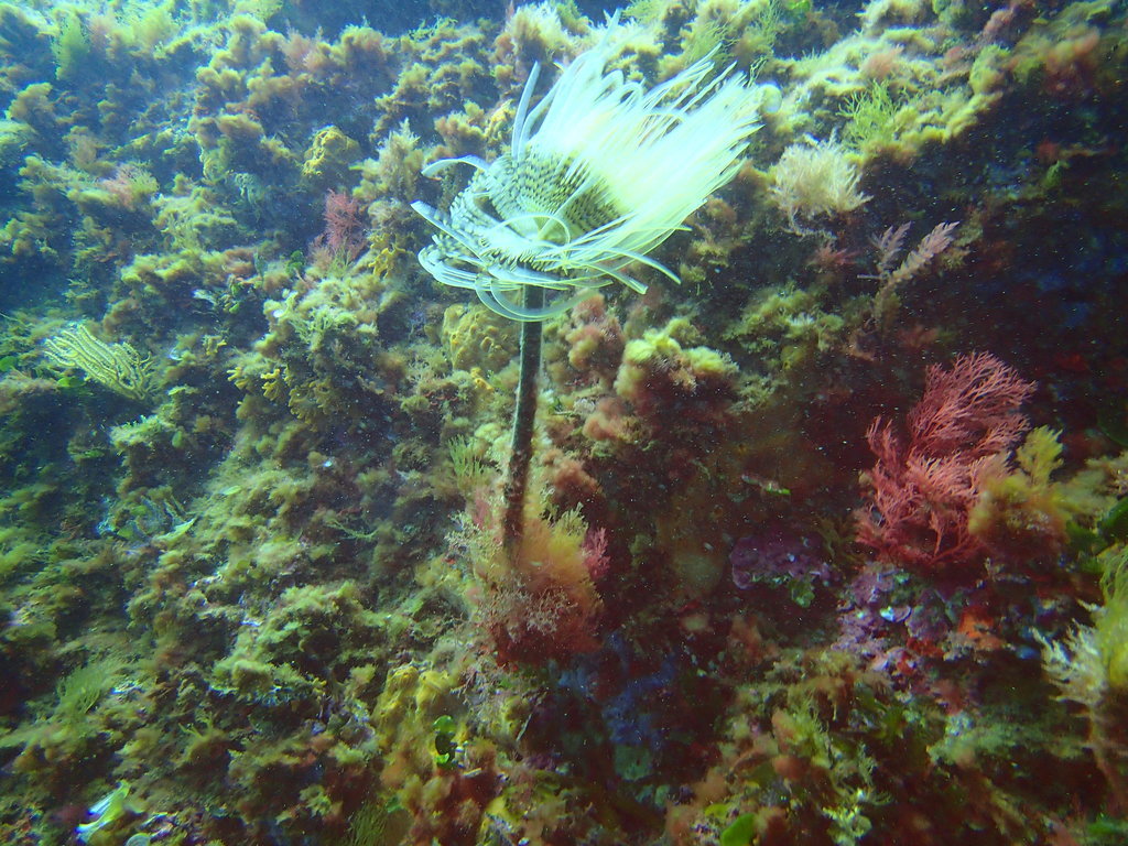 ../photos/2016_Hyeres_Gapeau/photo_20160513_144138_FGO_P5130193.JPG