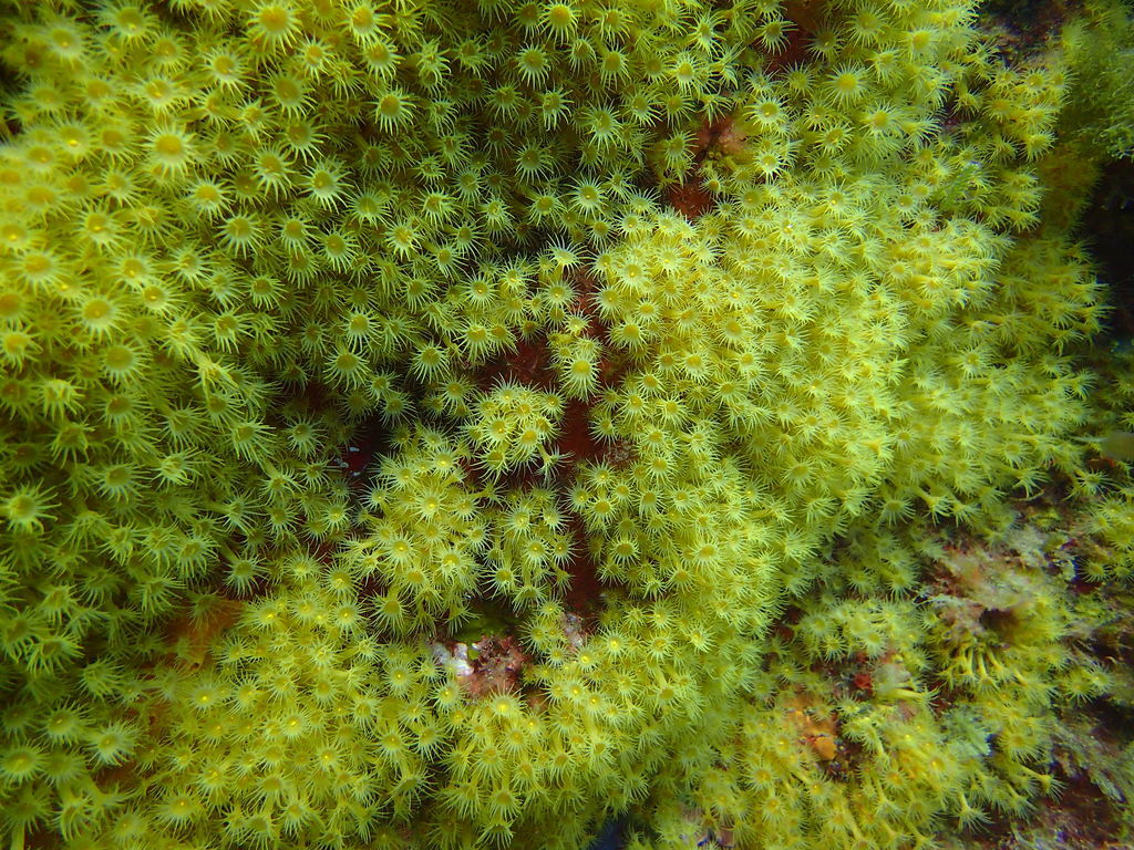 ../photos/2016_Hyeres_Gapeau/photo_20160514_085930_FGO_P5140220.JPG