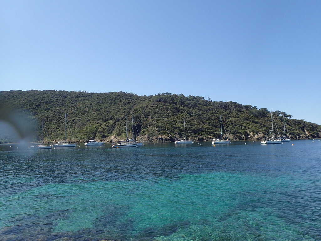 ../photos/2016_Hyeres_Gapeau/photo_20160515_100730_FGO_P5150268.JPG