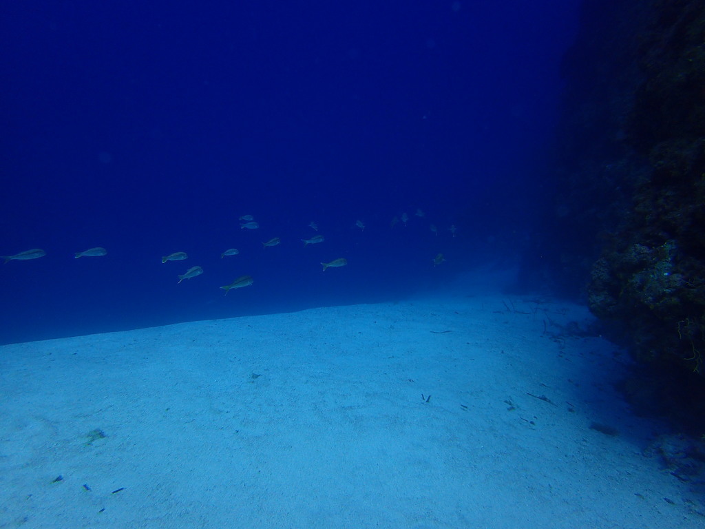 ../photos/2016_Hyeres_Gapeau/photo_20160515_121425_FGO_P5150311.JPG