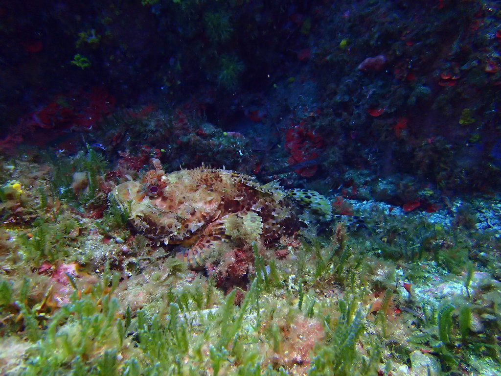 ../photos/2016_Hyeres_Gapeau/photo_20160515_121816_FGO_P5150315.JPG