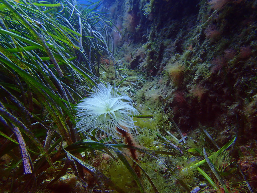 ../photos/2016_Hyeres_Gapeau/photo_20160515_122512_FGO_P5150331.JPG