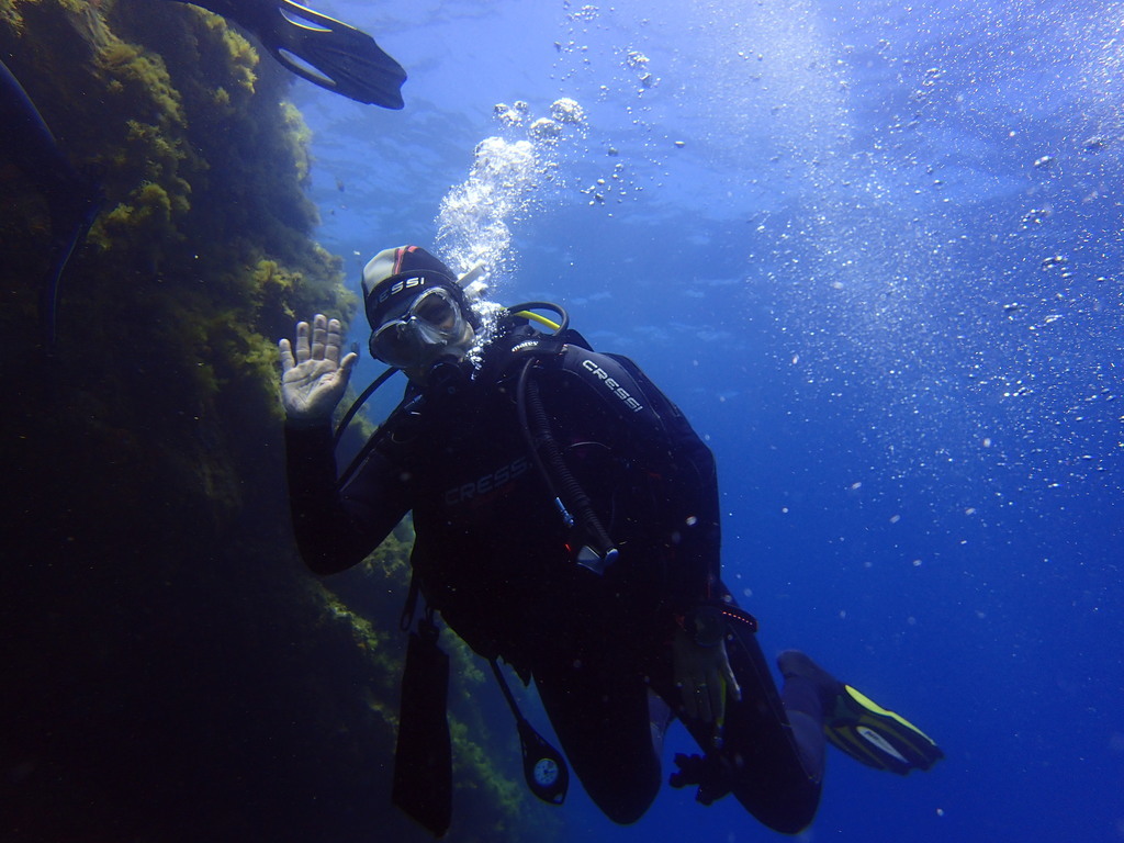 ../photos/2016_Hyeres_Gapeau/photo_20160515_123850_FGO_P5150351.JPG
