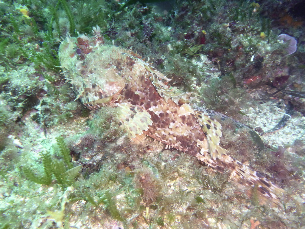 ../photos/2016_Hyeres_Gapeau/photo_20160516_020348_PGO_111.JPG