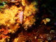../photos/2016_Hyeres_Gapeau/t_photo_20160513_085445_FGO_P5130189.JPG