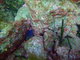 ../photos/2016_Hyeres_Gapeau/t_photo_20160514_083327_FGO_P5140211.JPG