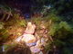 ../photos/2016_Hyeres_Gapeau/t_photo_20160514_151230_FGO_P5140232.JPG