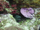 ../photos/2016_Hyeres_Gapeau/t_photo_20160515_043919_PGO_061.JPG