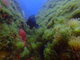 ../photos/2016_Hyeres_Gapeau/t_photo_20160515_082505_FGO_P5150239.JPG
