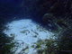 ../photos/2016_Hyeres_Gapeau/t_photo_20160515_121039_FGO_P5150304.JPG