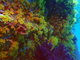 ../photos/2016_Hyeres_Gapeau/t_photo_20160515_121637_FGO_P5150313.JPG