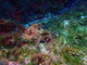 ../photos/2016_Hyeres_Gapeau/t_photo_20160515_121826_FGO_P5150316.JPG