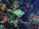 ../photos/2016_Hyeres_Gapeau/t_photo_20160515_122217_FGO_P5150326.JPG