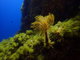 ../photos/2016_Hyeres_Gapeau/t_photo_20160515_123628_FGO_P5150349.JPG