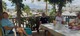 ../photos/2026_Hyeres_Gapeau/t_photo_20260911_121404_1000041892.jpg